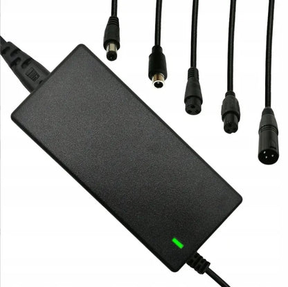 Universalus įkroviklis elektriniam paspirtukui 42V + jungtys