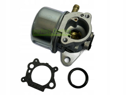 Vejapjovės karbiuratorius Briggs & Stratton 497314 497347 497586 498170 498254 799868
