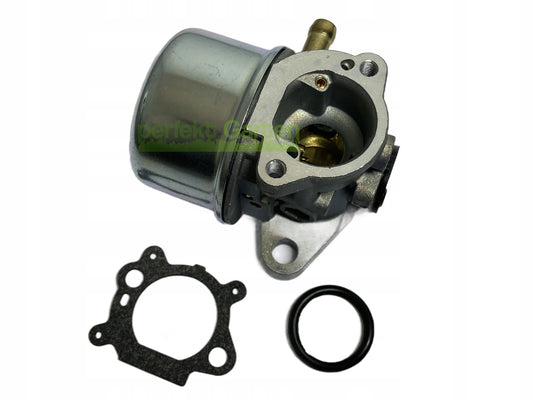 Vejapjovės karbiuratorius Briggs & Stratton 497314 497347 497586 498170 498254 799868
