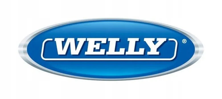 Welly Nex „Hyundai Tucson IX“ modelis, 1:34 mastelis, sidabrinis